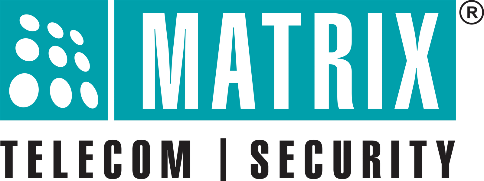 Matrix ComSec Logo